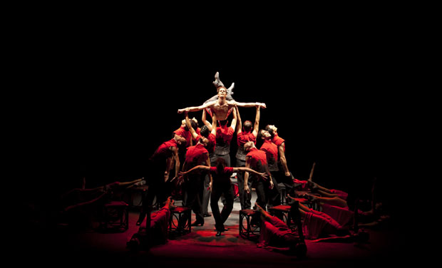 Страсни фламенко оставља без даха